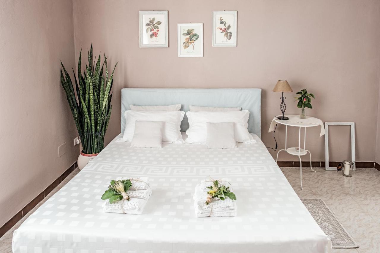 Villa Curte Nicia Ница Монферато Екстериор снимка
